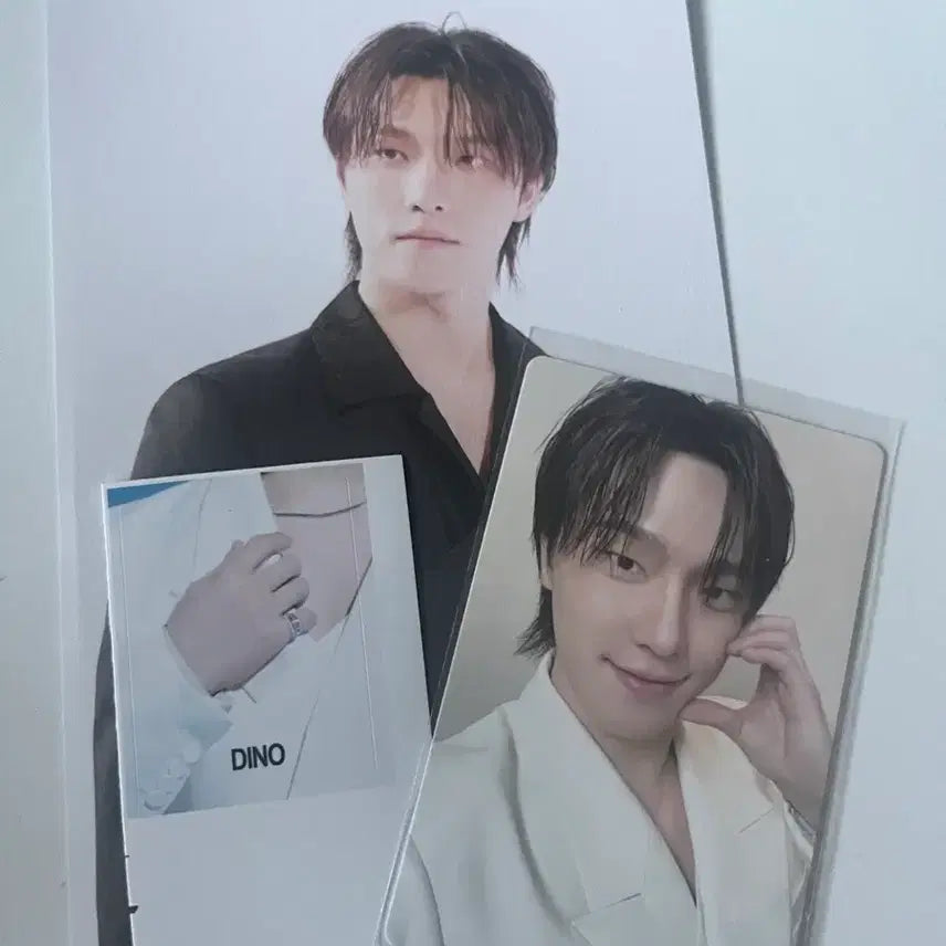 [BUNJANG] SEVENTEEN Dino World Tour [NEW_] Postcard / 세븐틴 SEVENTEEN WORLD TOUR [NEW_] 디노
