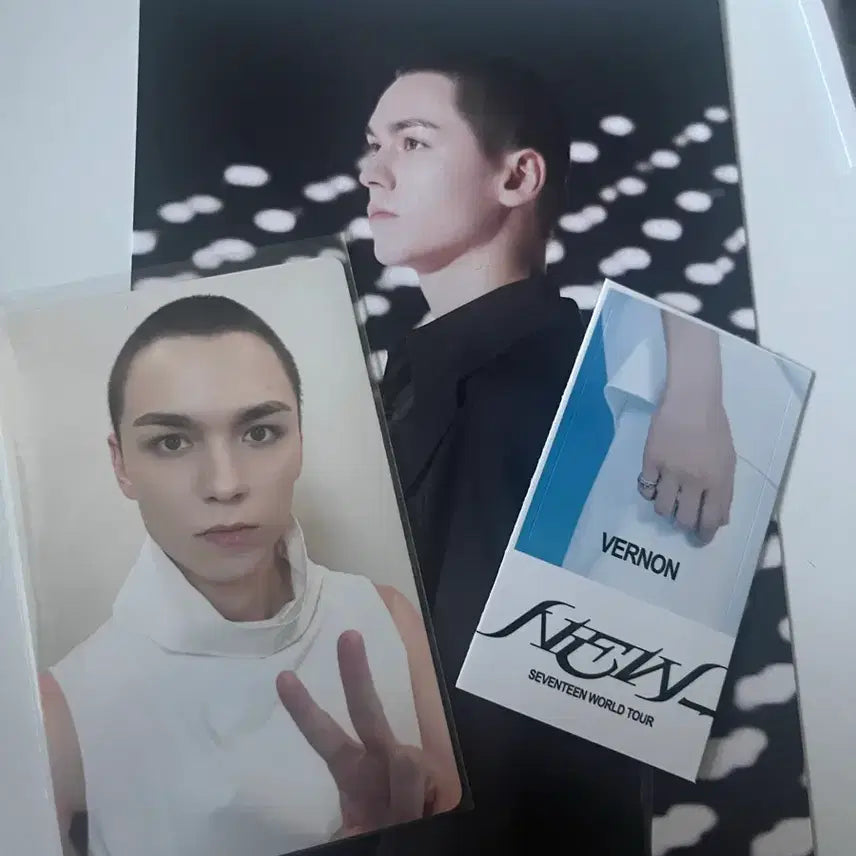 [BUNJANG] SEVENTEEN WORLD TOUR Vernon Photocard / 세븐틴 SEVENTEEN WORLD TOUR [NEW_]  버논