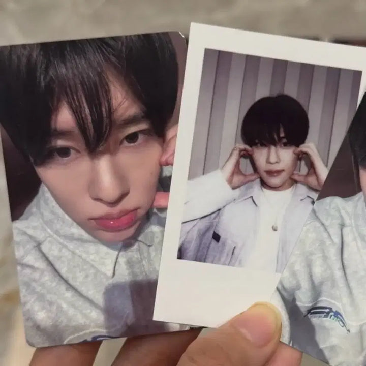 [BUNJANG] NCT WISH Sion Color KMS 2.0 Lucky Draw Photocard / 엔시티위시 컬러 kms 2.0 영통 미공포 포카 폴라로이드 시온