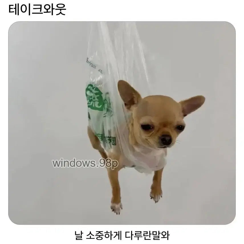 [SOLD OUT] 모몽가