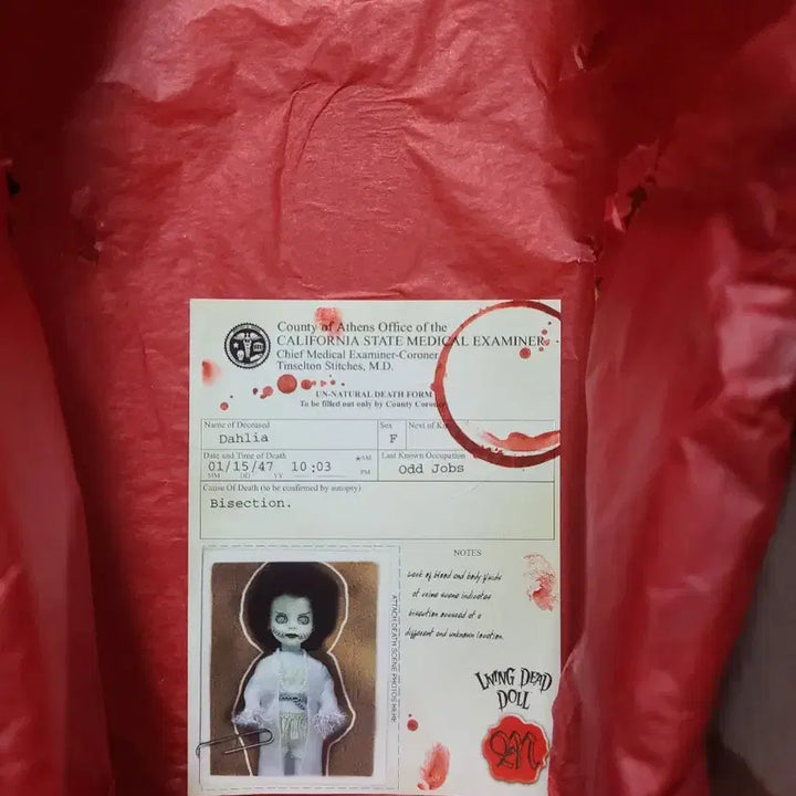 [BUNJANG] Living Dead Dolls Dahlia Hollywood Series / 리빙데드돌 달리아, 헐리우드 시리즈