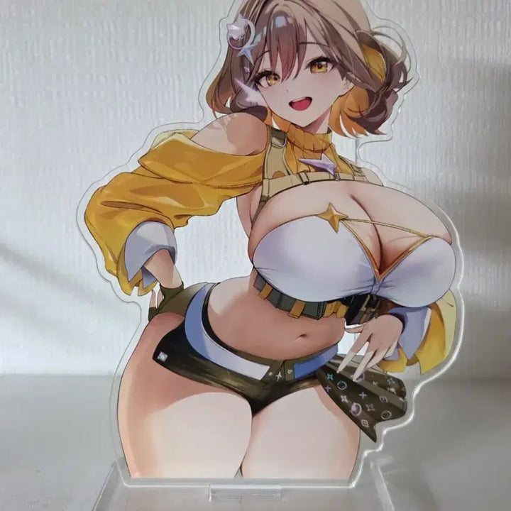 [BUNJANG] Niki Anis Acrylic Stand / 니케 아니스 아크릴스탠드