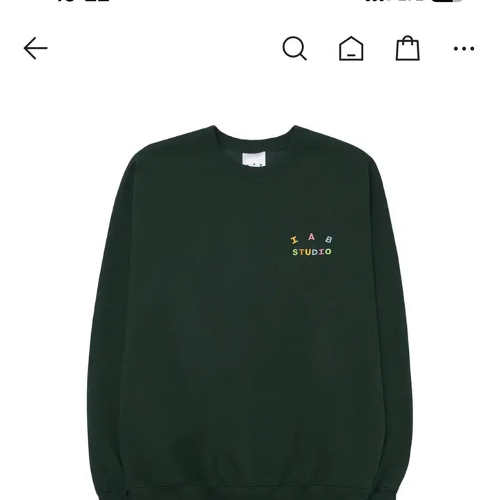 [BUNJANG] IAIB Studio Embroidered Sweatshirt Green / [M] 아이앱 스튜디오 아이앱 자수 스웨트셔츠 그린