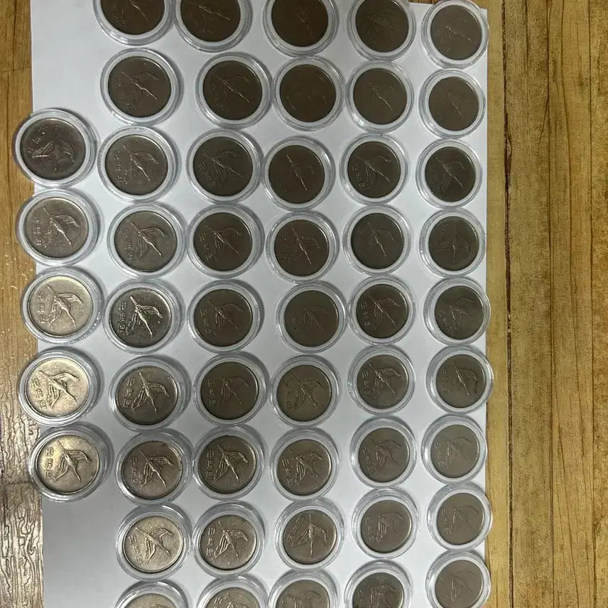 [BUNJANG] 1988 500 Won Coin Bundle (50 pcs) / 500원 1988년도 50개