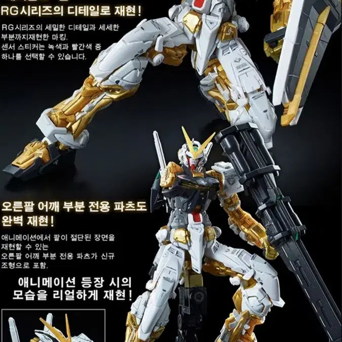 [BUNJANG] Bandai RG Gundam Astray Gold Frame [Premium Bandai] / 반다이 건담 RG 건담 어스트레이 골드 프레임 [프리미엄 반다이]