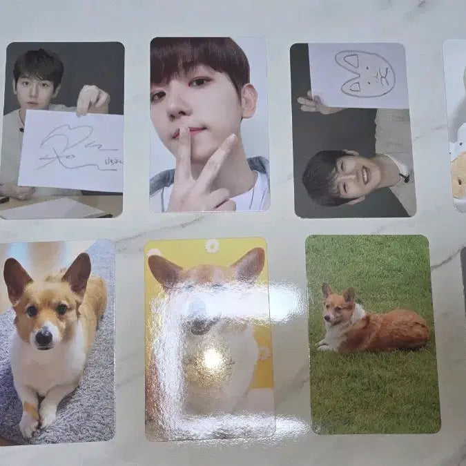 [BUNJANG] EXO Baekhyun Bundle Set Photocard / 엑소 백현 터래기 포카 일괄
