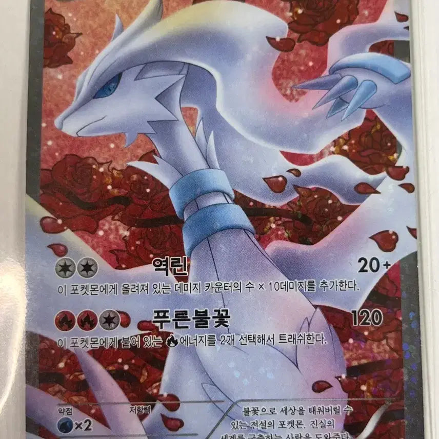 [BUNJANG] SHINee Collection Reshiram SR and 53 Other Cards Bundle Set / 샤이니 컬렉션 레시라무 SR 외 53장 일괄