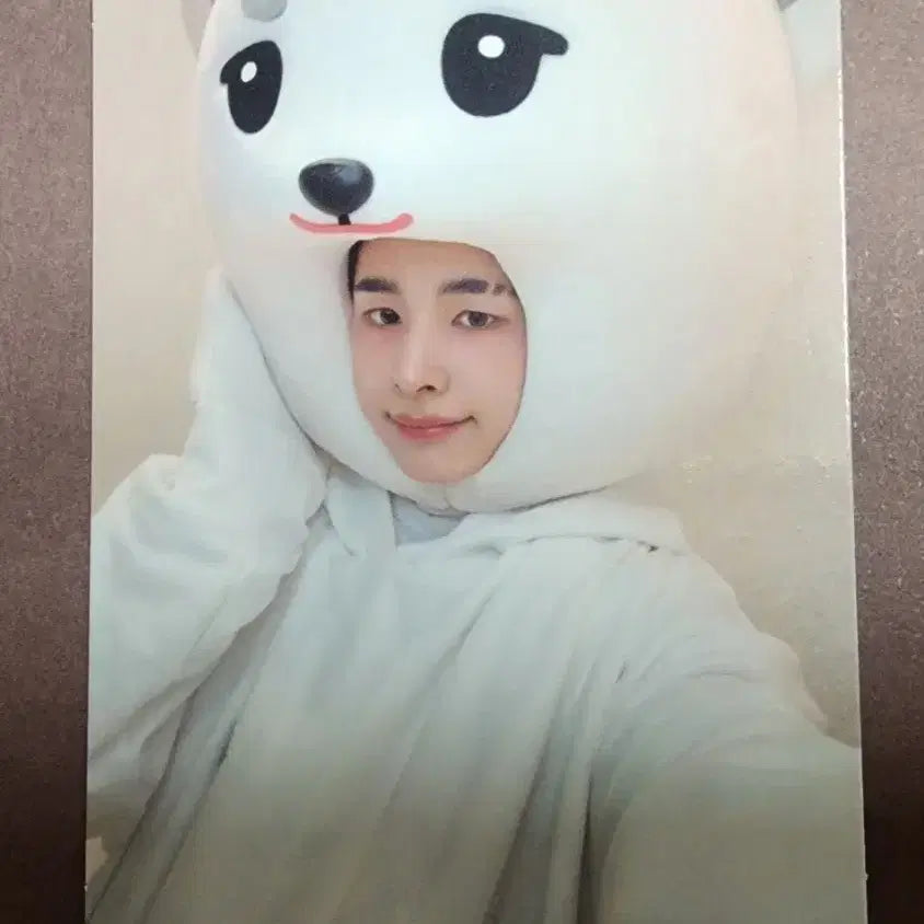 [BUNJANG] Nexg Hari NexJoo Gakbang Photocard / 넥스지 하루 넥스주 공방 포카