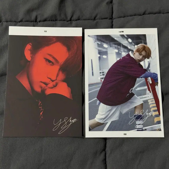 [BUNJANG] Stray Kids Felix I am NOT Photocard Postcard Bundle Set / 스트레이키즈 필릭스 아엠후 앨포 엽서 2장 일괄