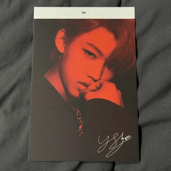 [BUNJANG] Stray Kids Felix I am NOT Photocard Postcard Bundle Set / 스트레이키즈 필릭스 아엠후 앨포 엽서 2장 일괄