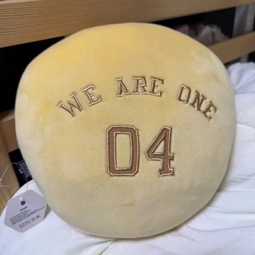 [BUNJANG] EXO Baekhyun Character Cushion / 백현 엑소 캐릭터 쿠션 양도