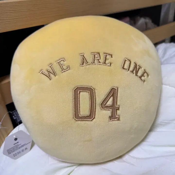 [BUNJANG] EXO Baekhyun Character Cushion / 백현 엑소 캐릭터 쿠션 양도