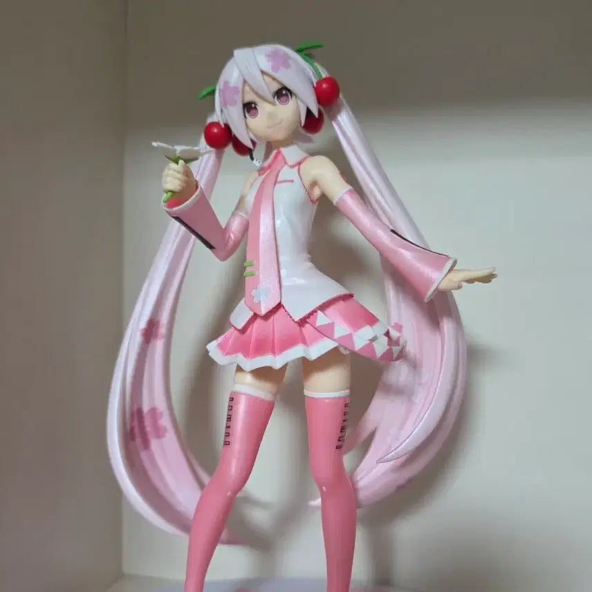 [BUNJANG] Hatsune Miku Sakura Miku Figure / 하츠네 미쿠 사쿠라 미쿠 피규어