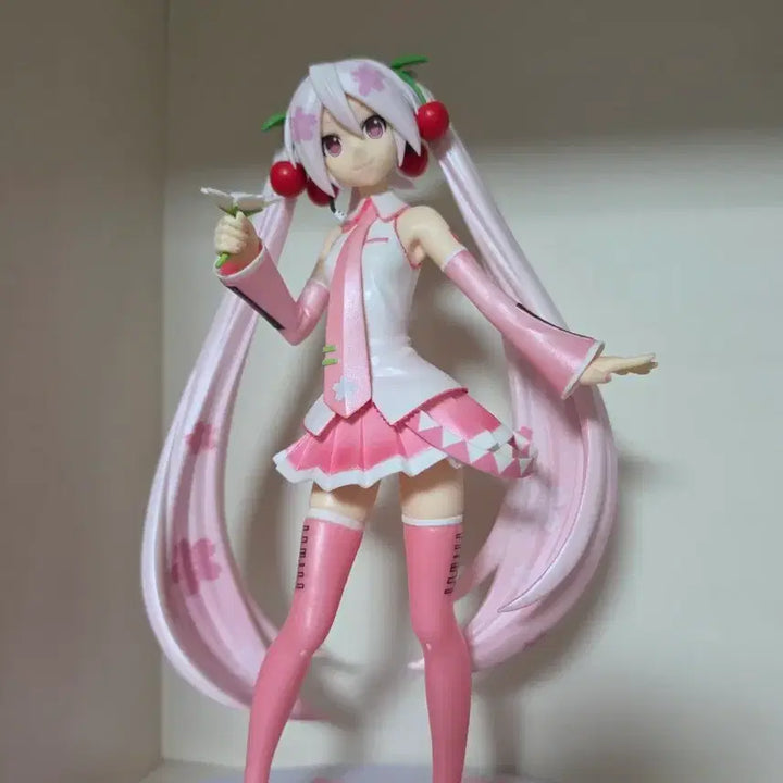[BUNJANG] Hatsune Miku Sakura Miku Figure / 하츠네 미쿠 사쿠라 미쿠 피규어