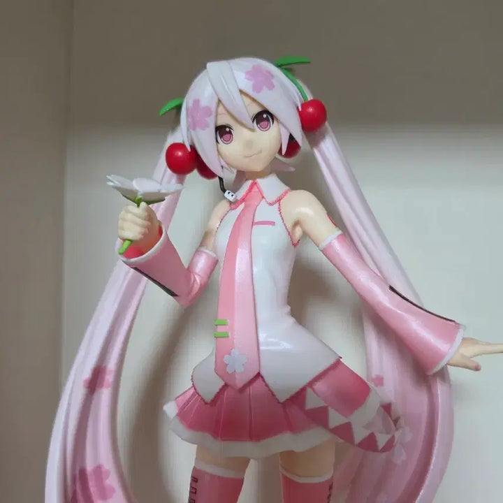 [BUNJANG] Hatsune Miku Sakura Miku Figure / 하츠네 미쿠 사쿠라 미쿠 피규어