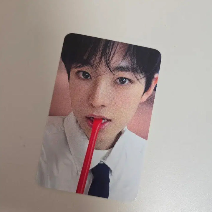 [BUNJANG] NCT WISH Yushi Withmuu Gongcha Photocard / 엔시티 위시 스테디 유우시 위드뮤 공차 포카