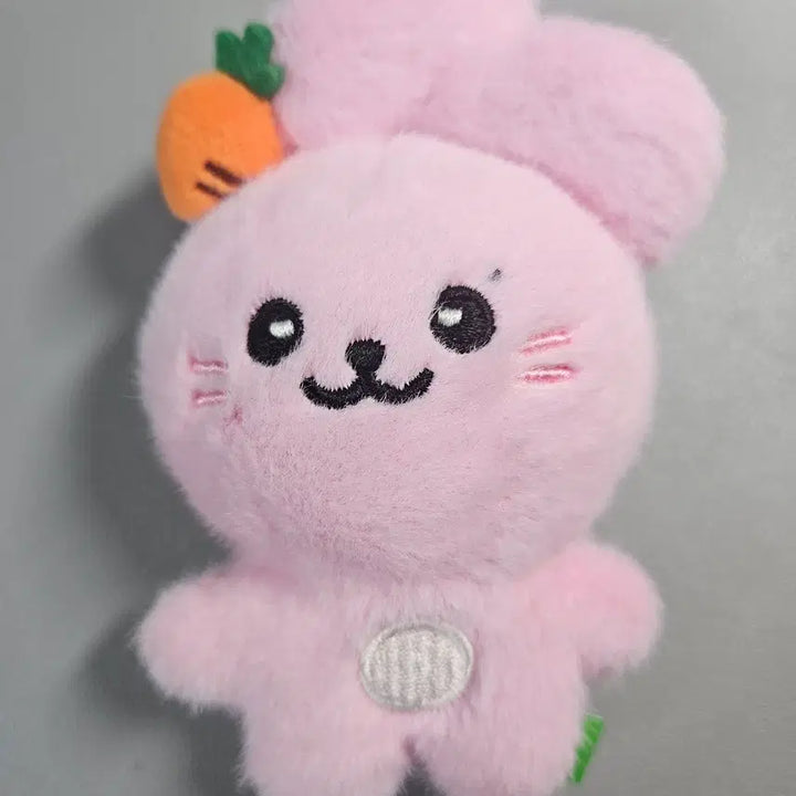 [BUNJANG] fromis_9 Jiwon (Jyunie) Plush Doll (Unsealed) / [ 개봉 ] 프로미스나인 인형 박지원 인형 쥬니 인형 판매