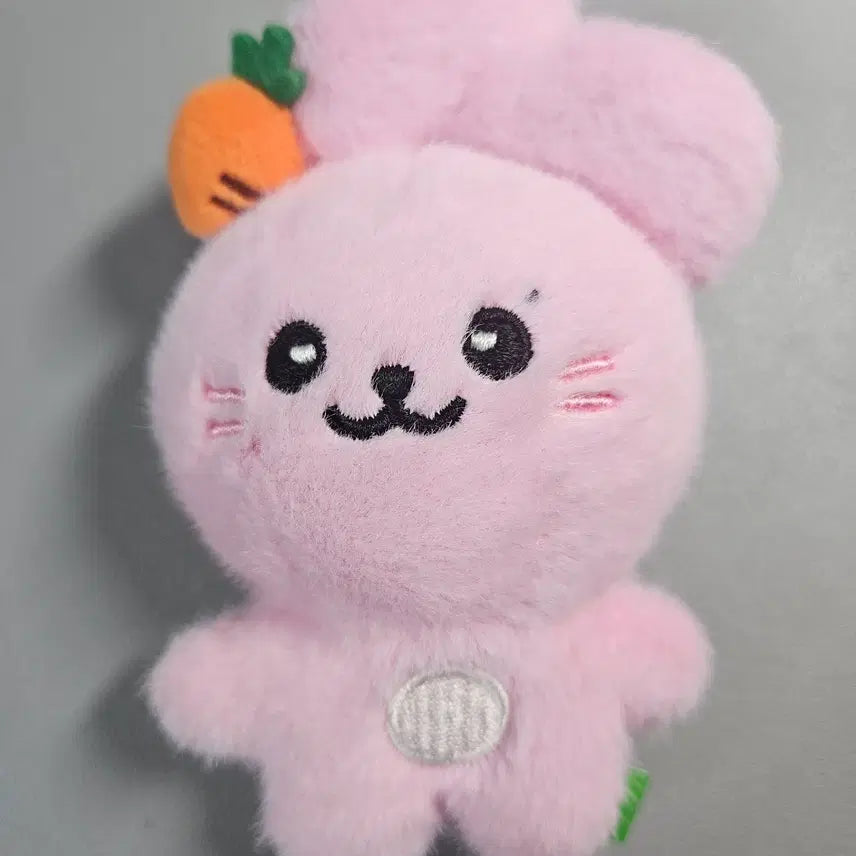 [BUNJANG] fromis_9 Jiwon (Jyunie) Plush Doll (Unsealed) / [ 개봉 ] 프로미스나인 인형 박지원 인형 쥬니 인형 판매