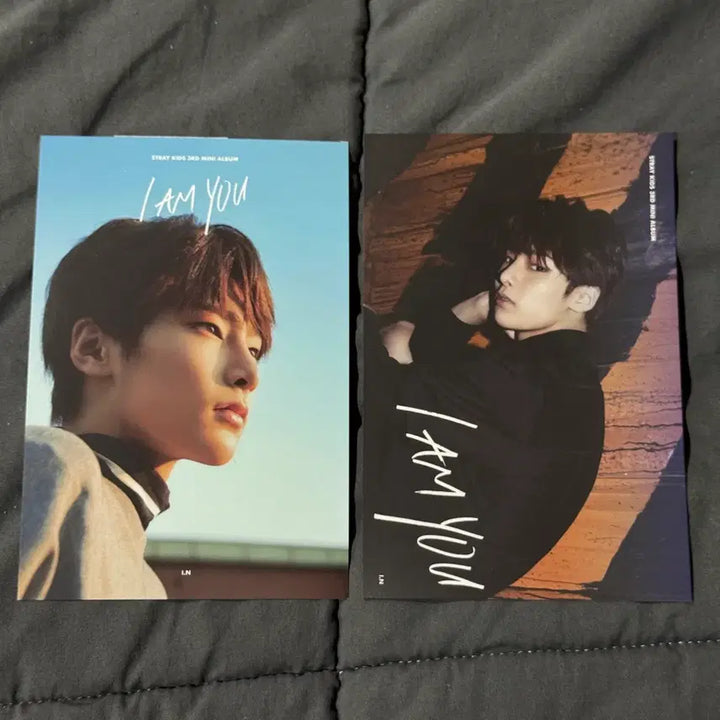 [SOLD OUT] 스트레이키즈 아이엔 아엠유 앨포 엽서 2장 일괄