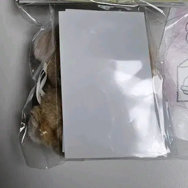 [SOLD OUT] 히나쿠우 쿠숭이 인형 미개봉 새상품