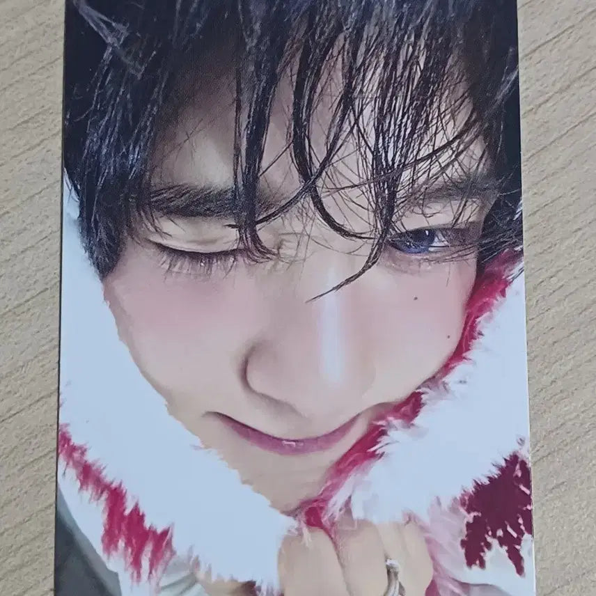 [BUNJANG] NCT WISH TT Sion Photocard / 엔시티 위시 티티 시온 포카 양도 유우시 리쿠 사쿠야