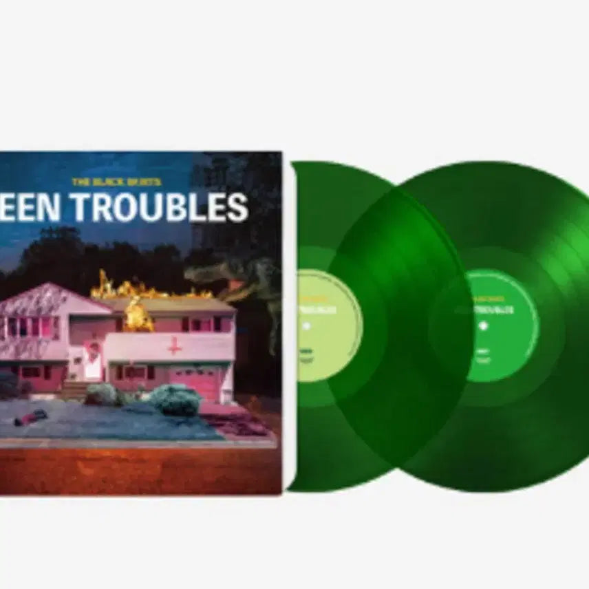 [BUNJANG] The Black Skirts Tint Trouble LP / 검정치마 틴트러블 lp