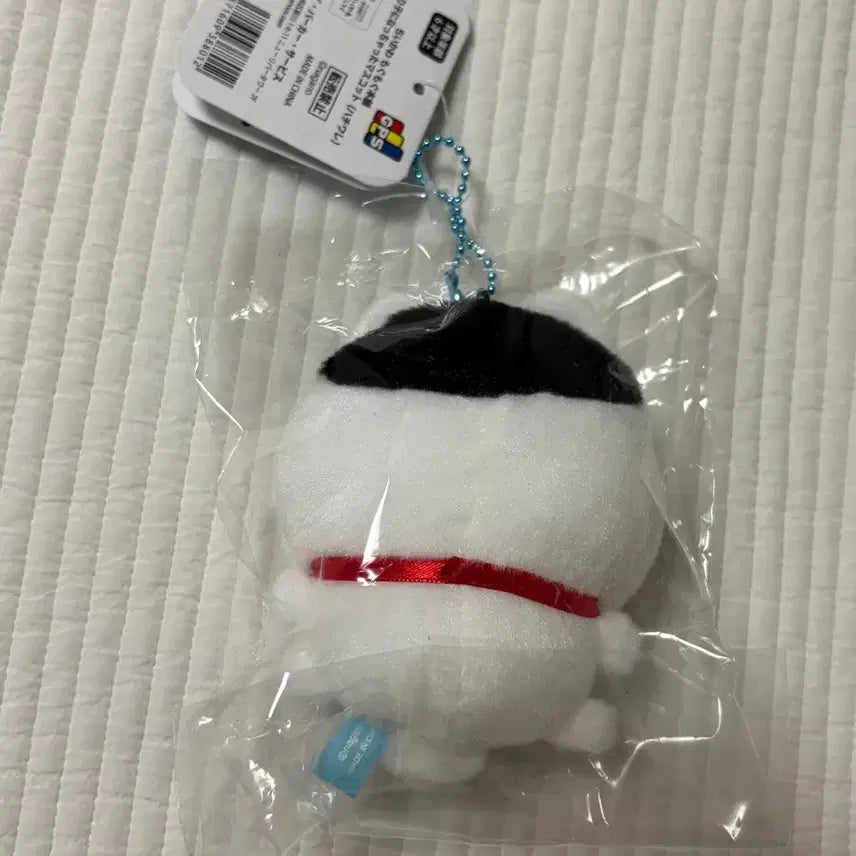 [BUNJANG] Chiikawa Mogumogu Honpo Konnume Inuhariko Hachiware / 치이카와 모구모구 혼포 콩눈 이누하리코 하치와레