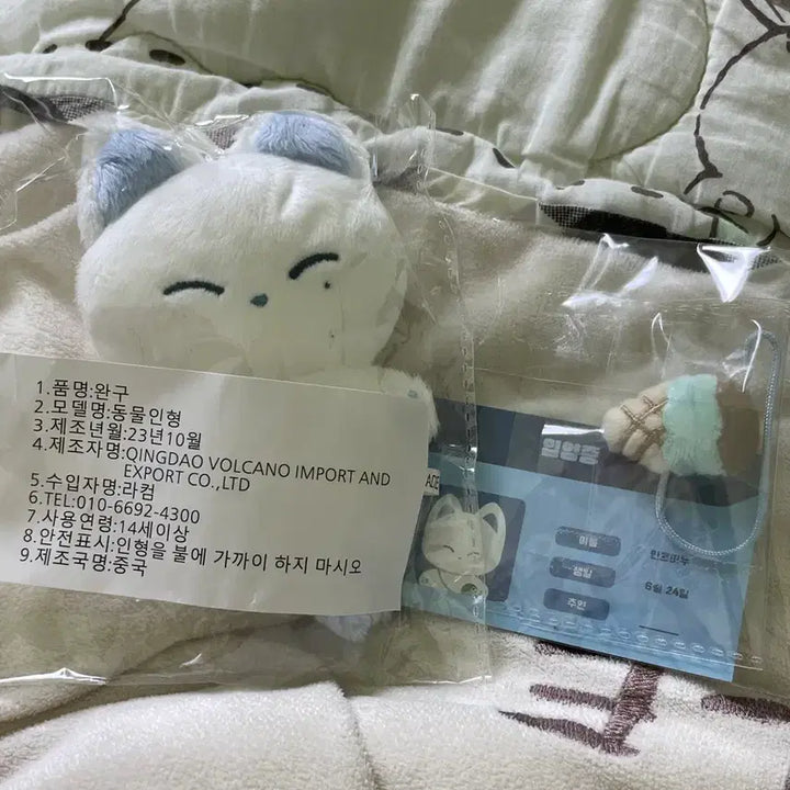 [BUNJANG] ENHYPEN Sunwoo Mint Plush Doll (Sealed) / 엔하이픈 선우 민트 떠누