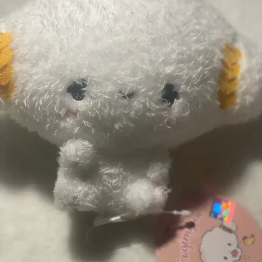 [BUNJANG] Sanrio Corgi Myung Plush Doll / 산리오 코기뮹 인형 판매