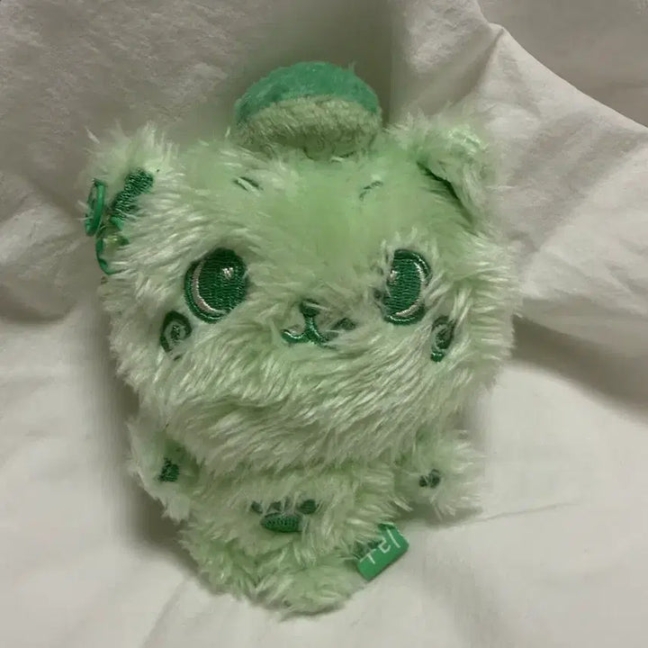 [BUNJANG] NCT WISH KURI Color Wish Doll / 엔시티위시 컬러 위시돌 초록 쿠리
