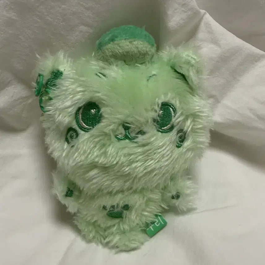 [BUNJANG] NCT WISH KURI Color Wish Doll / 엔시티위시 컬러 위시돌 초록 쿠리