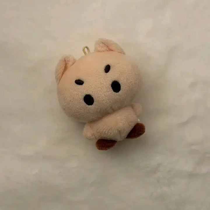 [BUNJANG] TWS Shinyu Kyungmin Doll Bundle Set / 일괄 양도) 투어스 신유 경민 인형 톨어스 뉴톨이 유톨이 햄미니