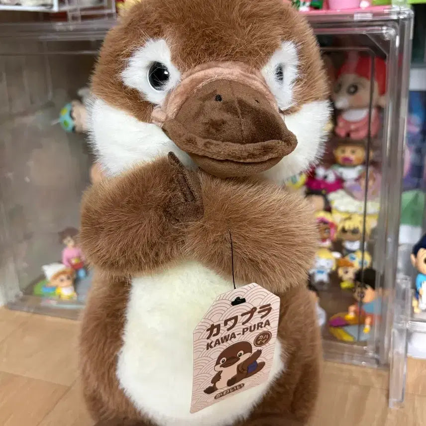 [BUNJANG] Kawaii Fura Platypus Plush (35cm) / 카와푸라 오리너구리 인형