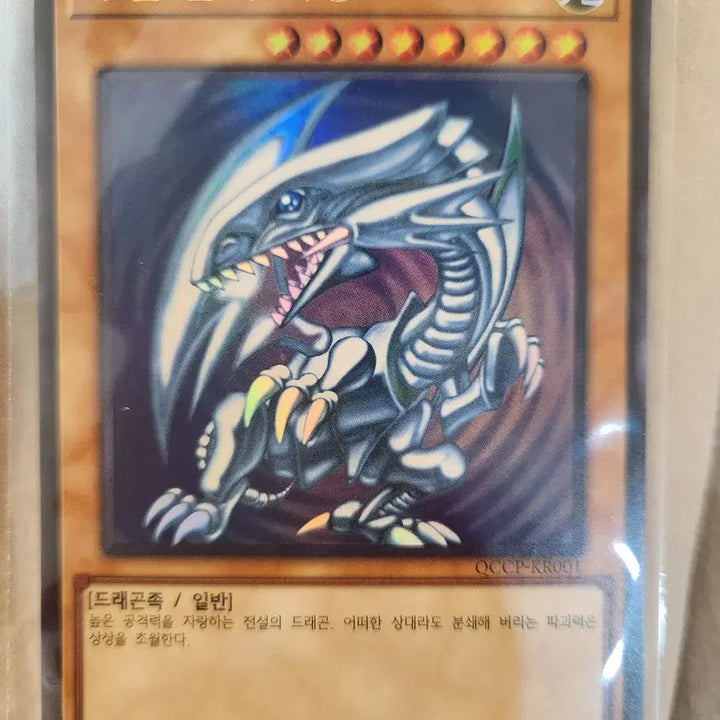 [BUNJANG] Yu-Gi-Oh! Blue-Eyes White Dragon Ultimate Rare Card (QCCP-KR001) / 유희왕 푸른눈의백룡 카드 팝니다. (QCCP-KR001)