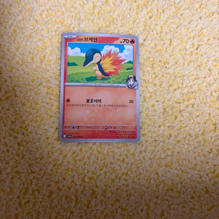 [BUNJANG] Pokemon Card - Typhlosion / 포켓몬 카드 심향의 브케인