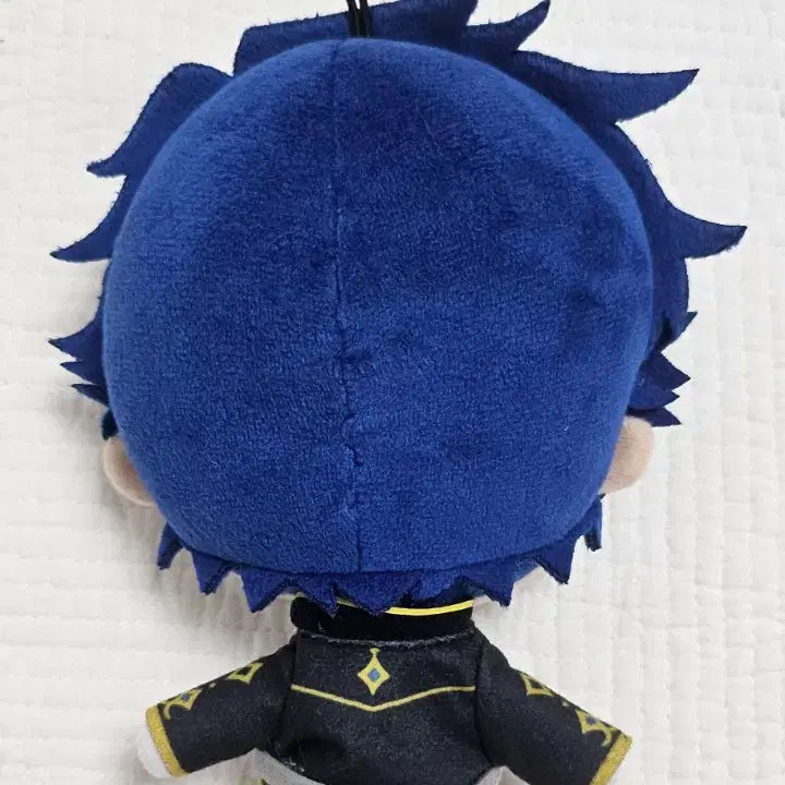 [BUNJANG] Ensemble Stars! Jun Nuit Plush with Face Paint / 앙스타 쥰 신누이 텍X 볼터치O