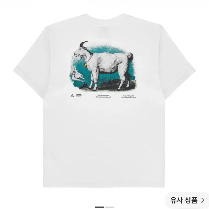 [BUNJANG] Nike ACG Dri-FIT T-Shirt White Size M / 나이키 acg 드라이핏 반팔티 m 새상품 화이트