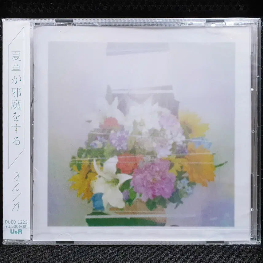 [BUNJANG] Yorushika Summer Rain Bicycle Sealed CD / 요루시카 여름풀이 방해를 해 CD 미개봉 신품
