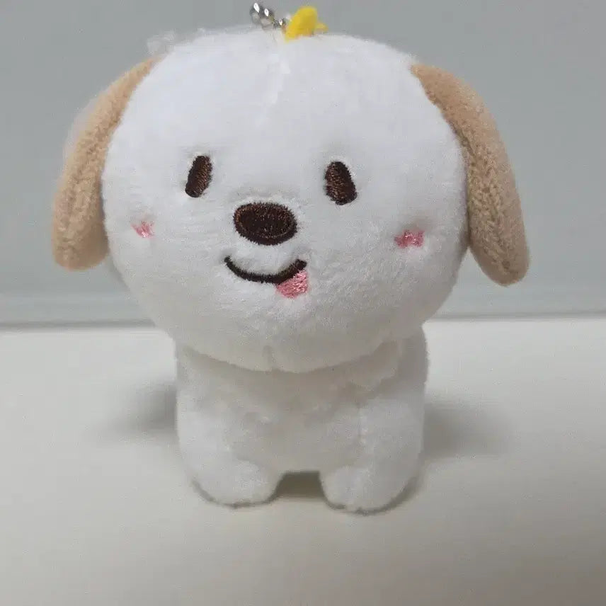 [BUNJANG] RIIZE Anton "Meongryong" 10cm Doll / 라이즈 앤톤 인형 멍룡이 10cm