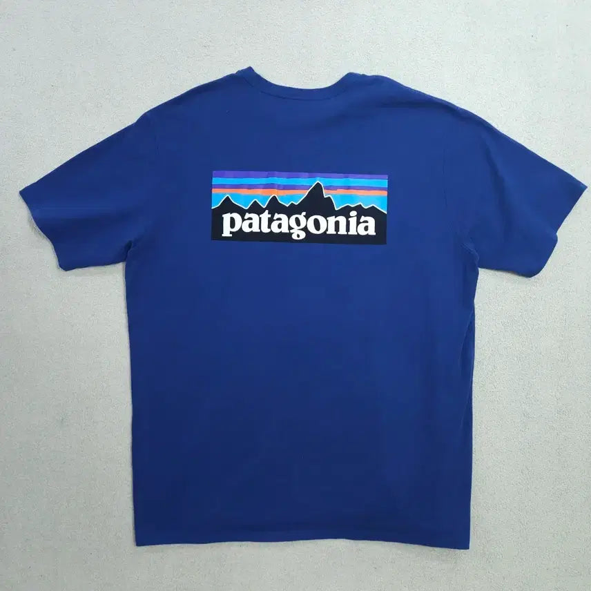 [BUNJANG] Patagonia Short Sleeve T-Shirt L / 파타고니아 반팔티 L