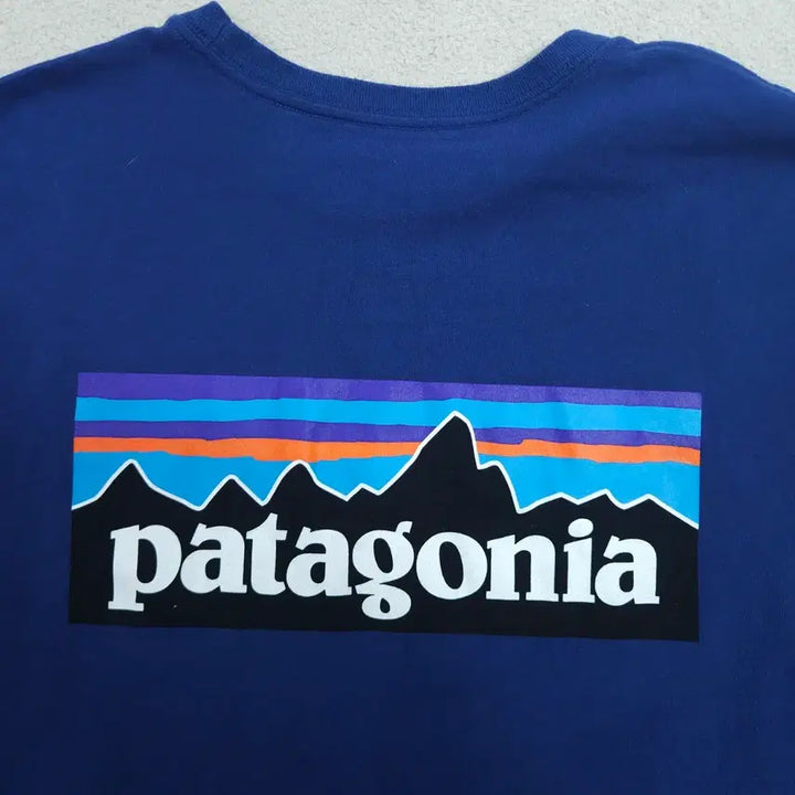 [BUNJANG] Patagonia Short Sleeve T-Shirt L / 파타고니아 반팔티 L