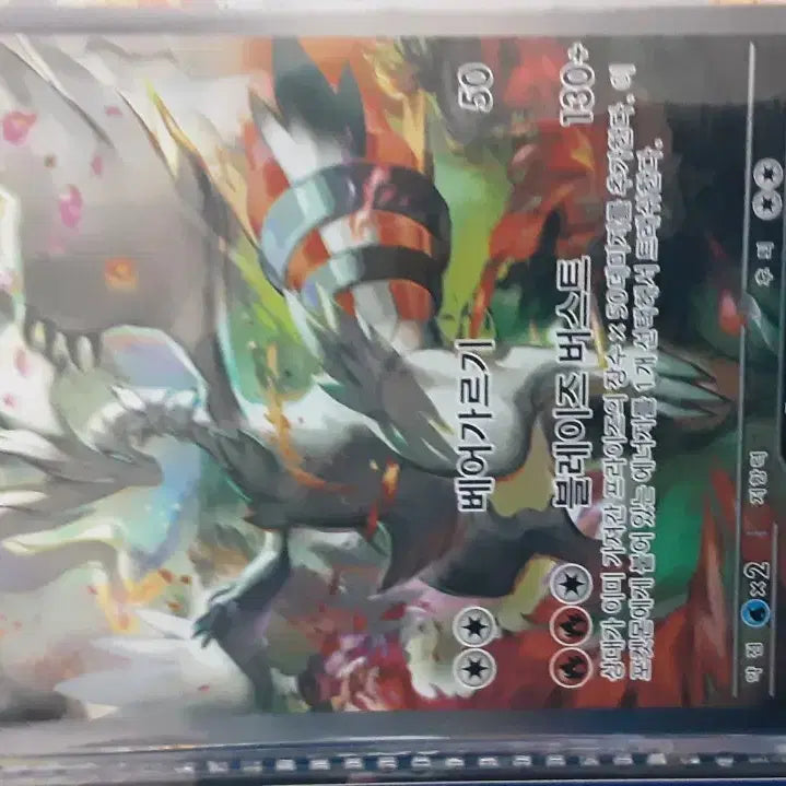 [BUNJANG] Reshiram Card / 레시라무 카드 팝니다