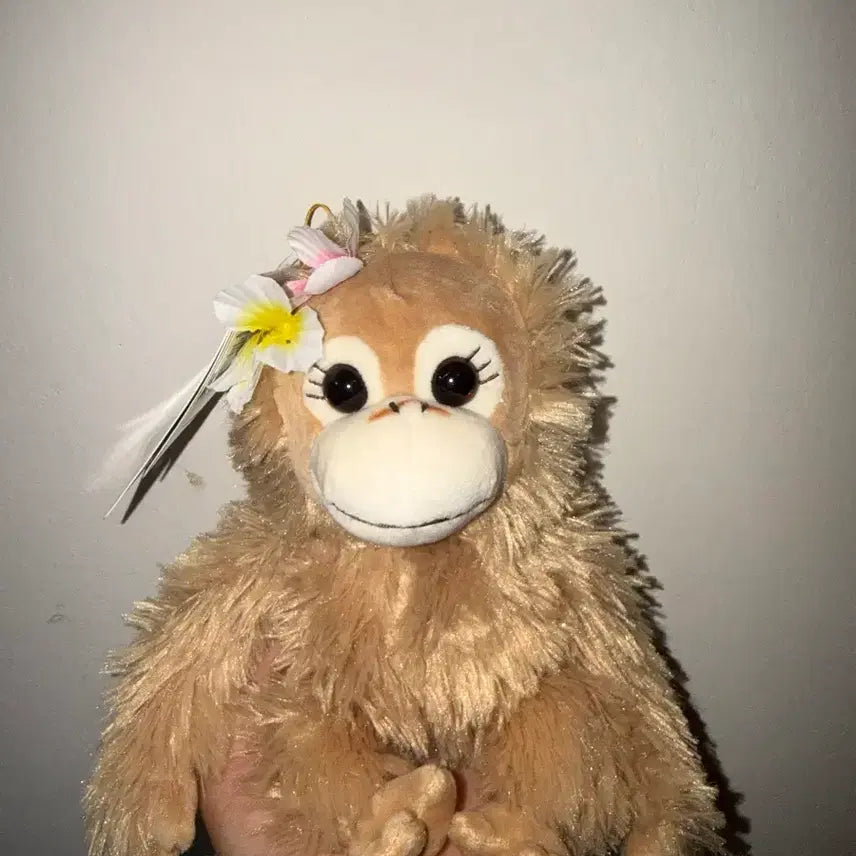 [BUNJANG] Baby Coco &amp; Nuts Monkey Plush Toy / 베이비코코앤너츠 찍찍이 원숭이 인형