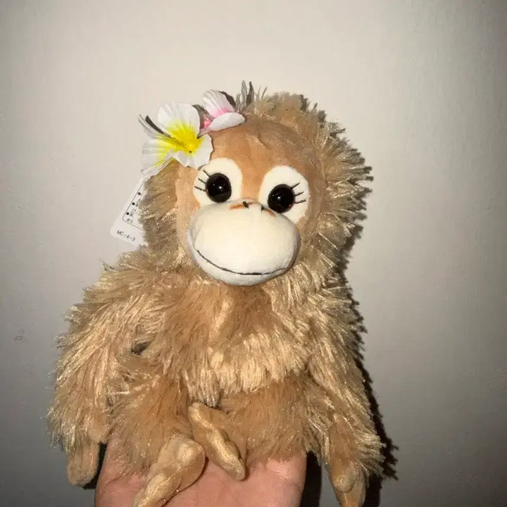 [BUNJANG] Baby Coco &amp; Nuts Monkey Plush Toy / 베이비코코앤너츠 찍찍이 원숭이 인형