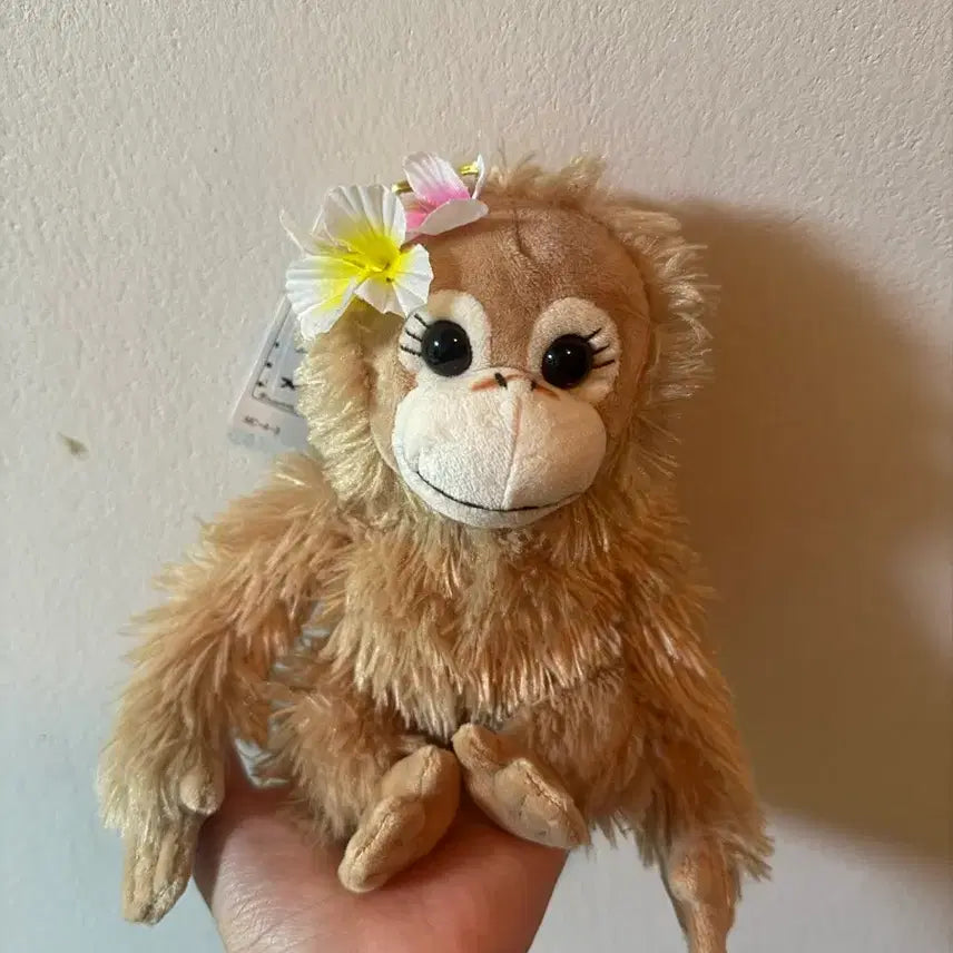 [BUNJANG] Baby Coco &amp; Nuts Monkey Plush Toy / 베이비코코앤너츠 찍찍이 원숭이 인형