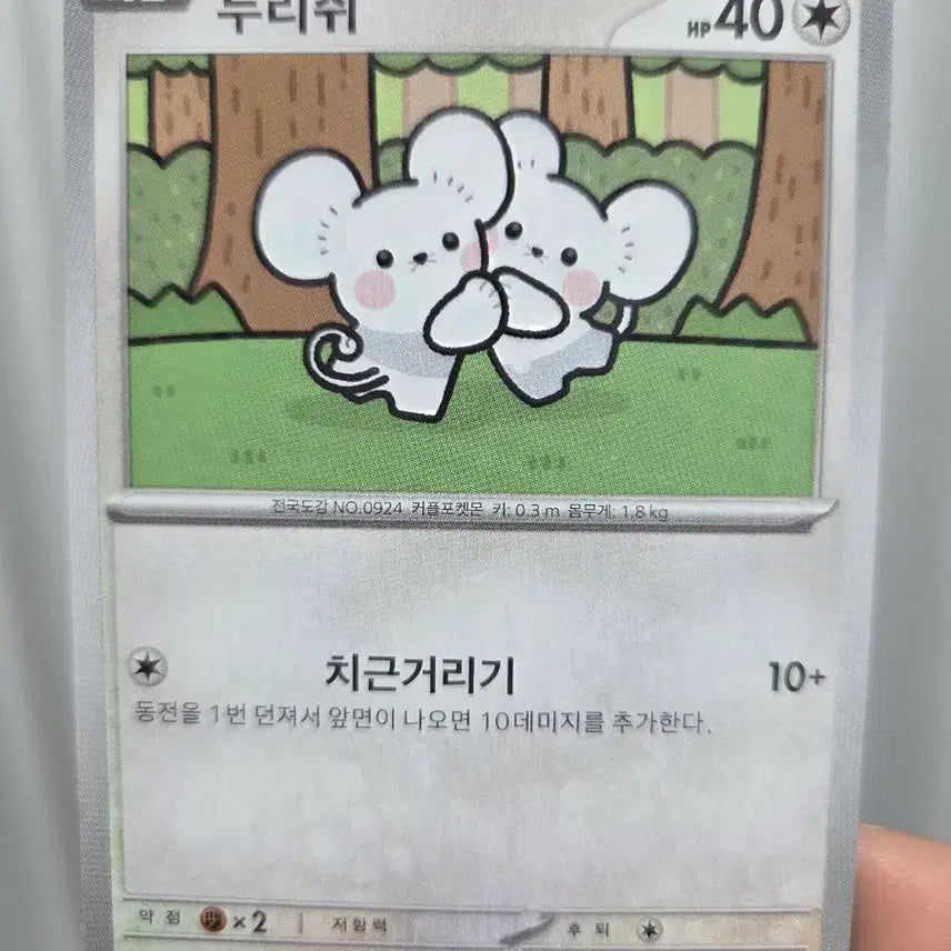[BUNJANG] Pokemon Cards Furret, Snorlax Bundle Set / 포켓몬 카드 두리쥐,잠만보 일괄판매
