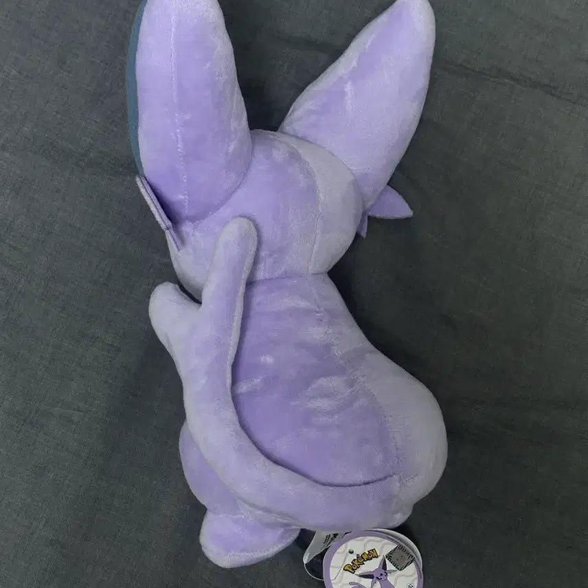 [BUNJANG] Pokemon Eevee Plush New / 포켓몬 에브이 인형 새상품