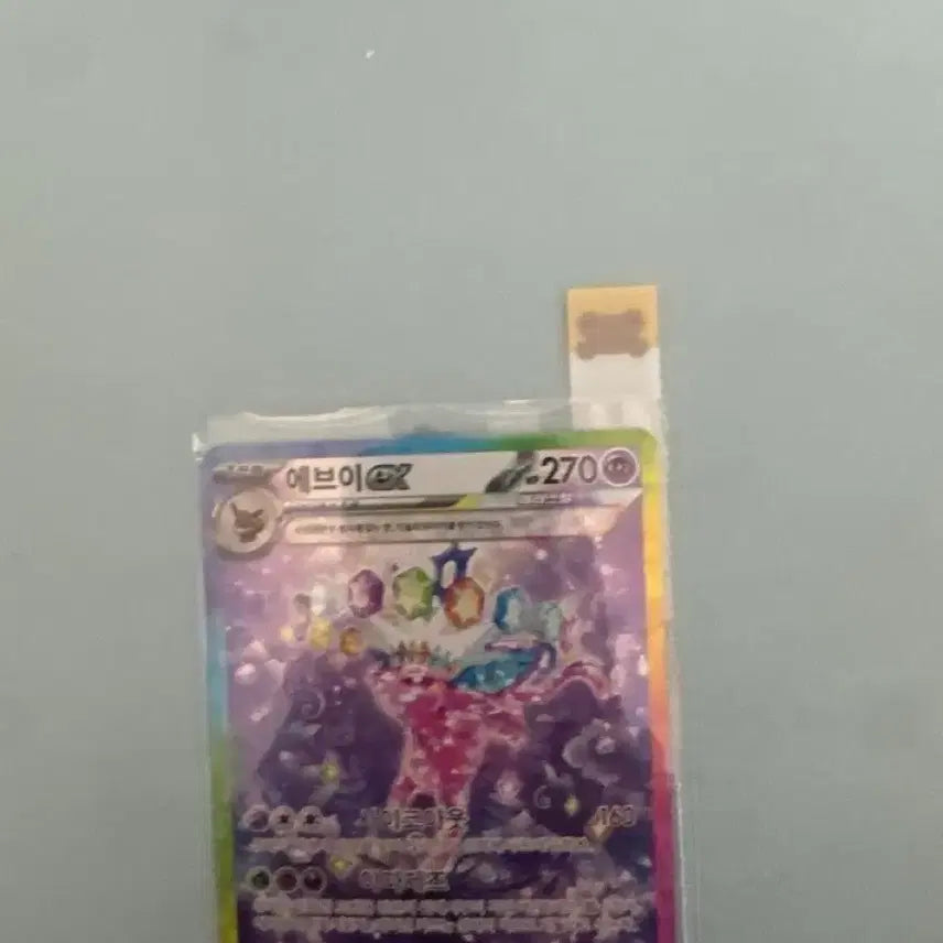 [SOLD OUT] 에브이