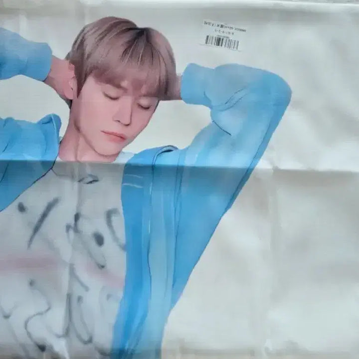 [BUNJANG] RIIZE Eunseok Pillow Cover / 라이즈 은석 베개 커버