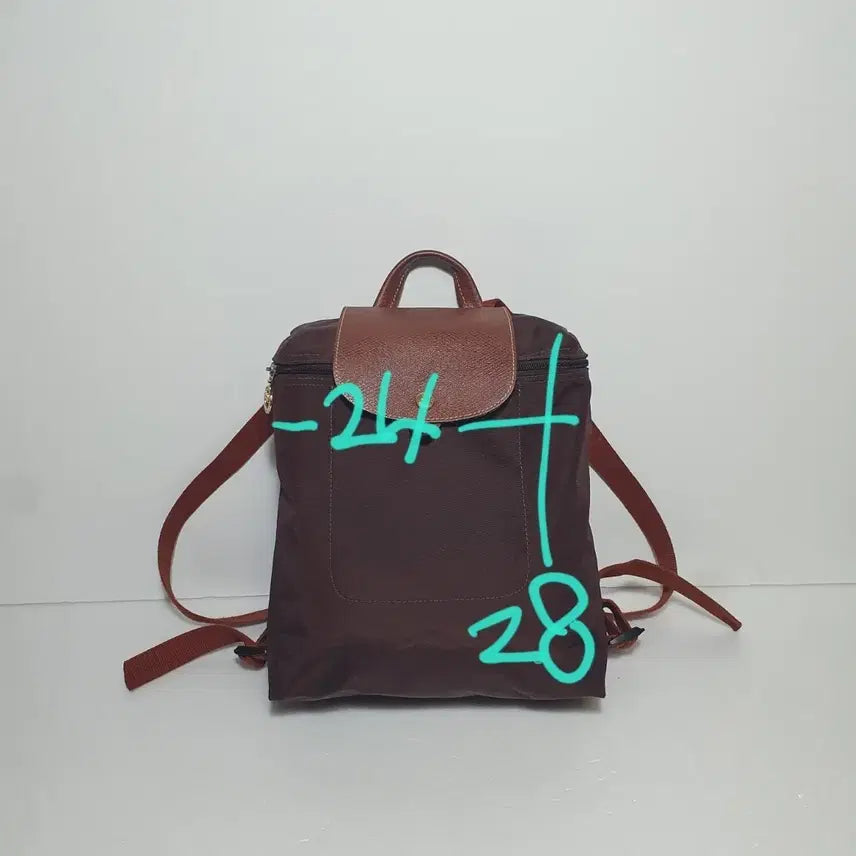 [BUNJANG] Longchamp Backpack / 롱샴 ㅡㅡ백팩ㅡ정품
